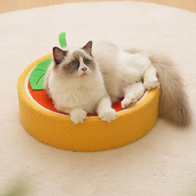 Cat Bed & Scratching Board Set - Cute Fruit Design Sisal Rope Round Pet Scratching Toy, Wear Resistant Cat Scratcher for Cat Furniture, Cat & Dog Supplies